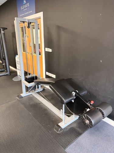 Lying leg curl commercial - leg,
